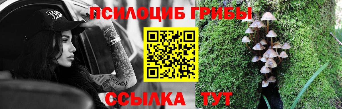 Галлюциногенные грибы Magic Shrooms Котлас