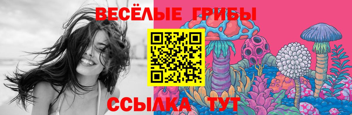 Псилоцибиновые грибы Cubensis  Галлюциногенные грибы прущие грибы  Котлас  Вход с VPN 